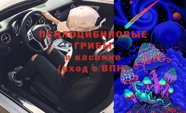 герыч Алексин