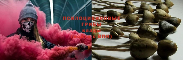 таблы Алзамай