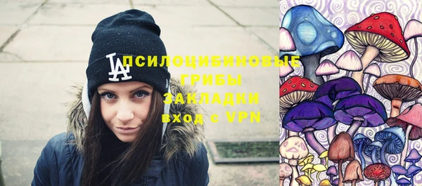 герыч Алексин