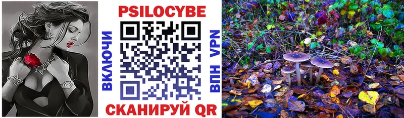 закладка  Бодайбо  Галлюциногенные грибы Psilocybine cubensis 